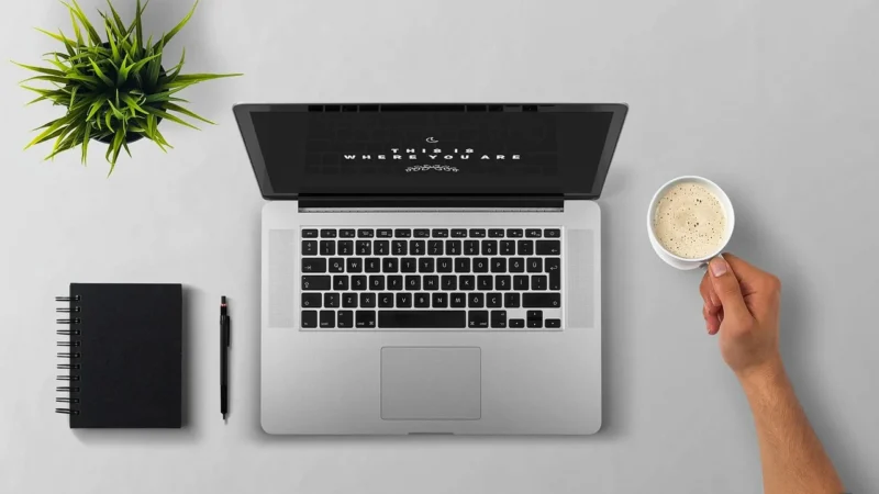 Przenosiny sklepu: migracja danych i minimalizacja strat SEO